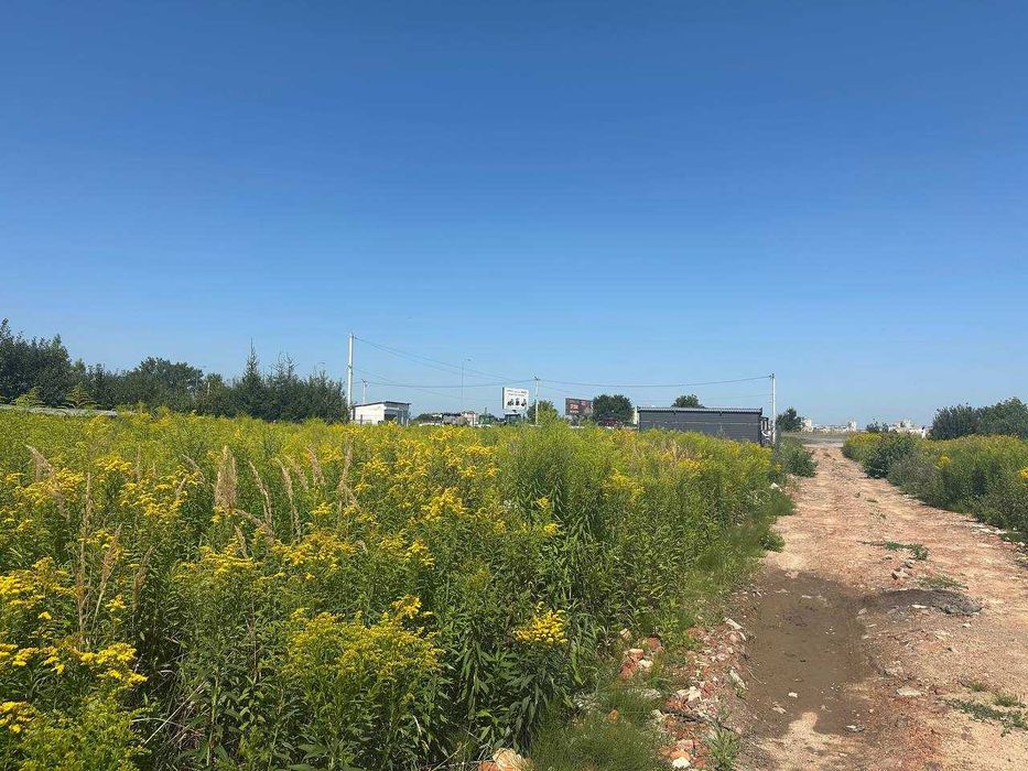 Продаж ділянки в Зубрі біля Рафаелю
