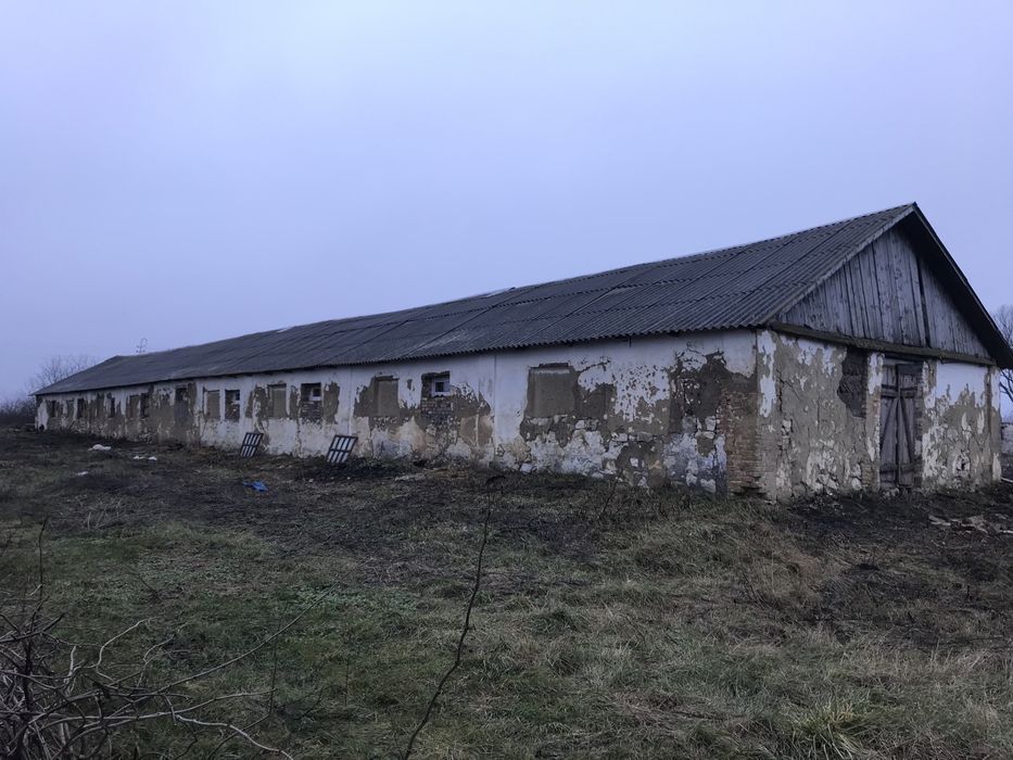 Ферма, тваринницьке приміщення