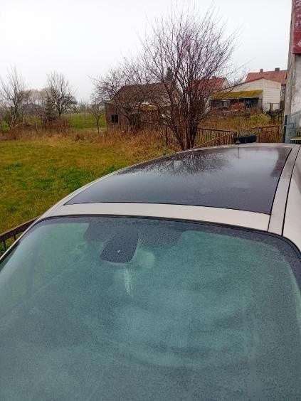 Renault Megane Scenic 2008 rok 2.0 16v 7osobowy