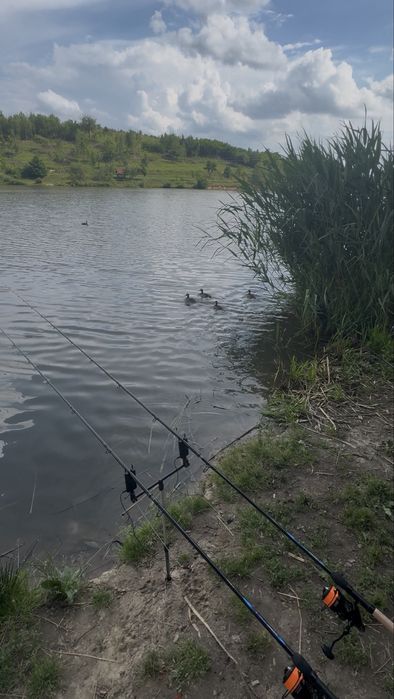 Фідерний комплект