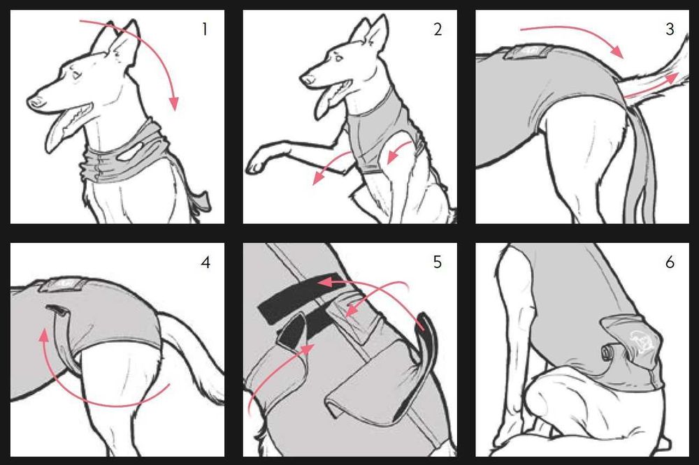 NOVO - KVP Recova Shirt Camisola de Recuperação cão/gato 8 tamanhos