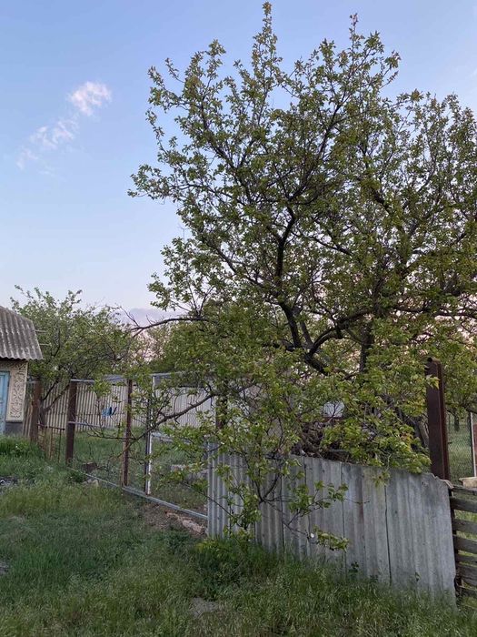 СРОЧНО! Оценка на руках! Продам дом. Ивановский р-н, Одесская обл.