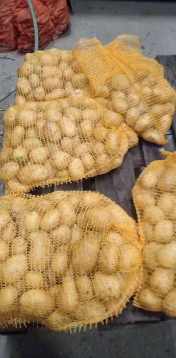 Ziemniak myty sorayja/soraja