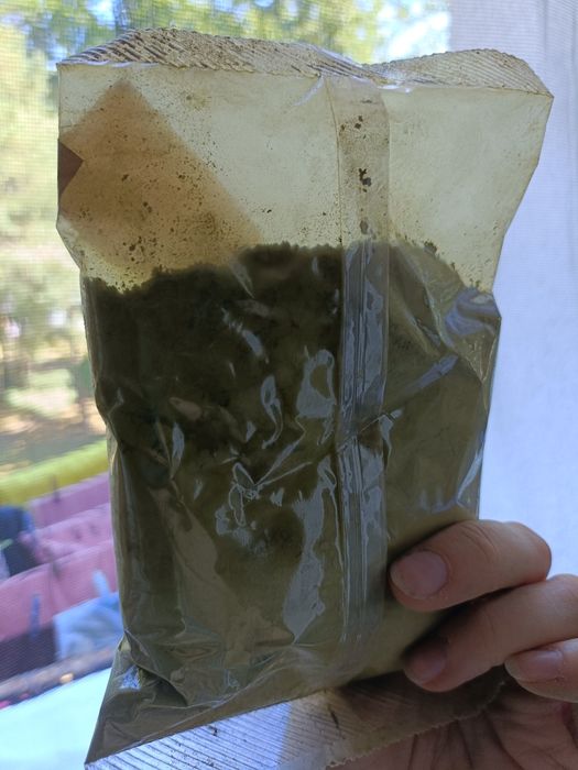 Henna - Light Mountain - jasny brąz - light brown - słoń