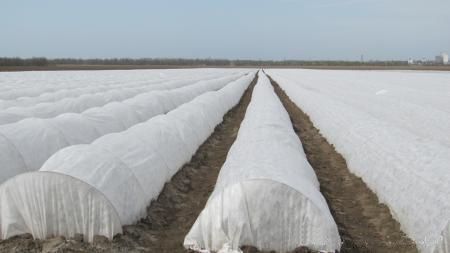 Агроволокно щільність 23, 30, 60 г/м² (1,6м або 3,2м), Туреччина