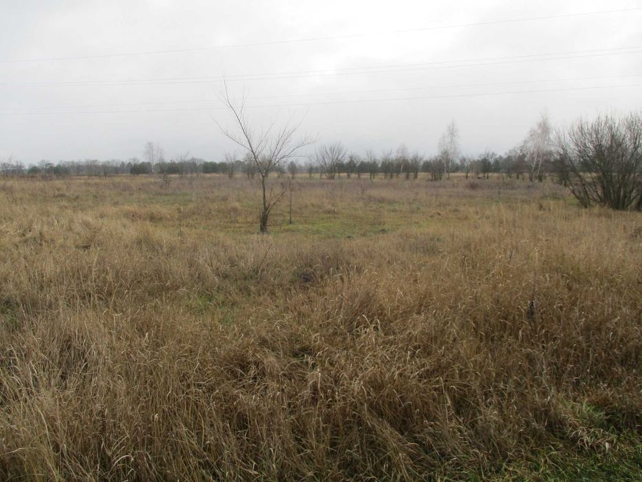 Продаж земельної ділянки 21 сот. Київська обл., с.Жукин      8500$