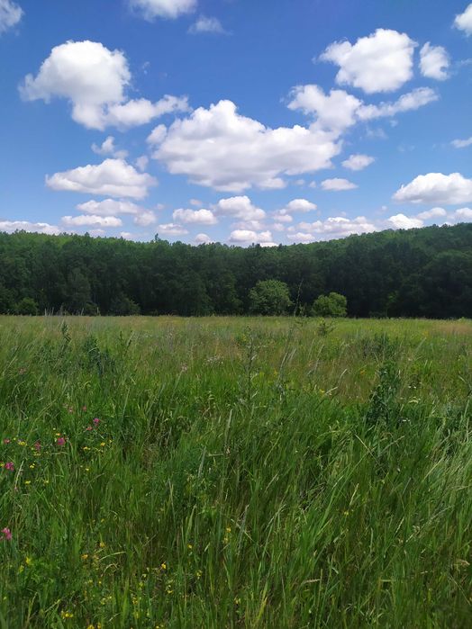 Продам участок в Малой Даниловке