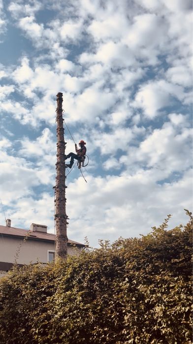 Обрізка видалення дерев, зріз аварійних, чистка ділянок