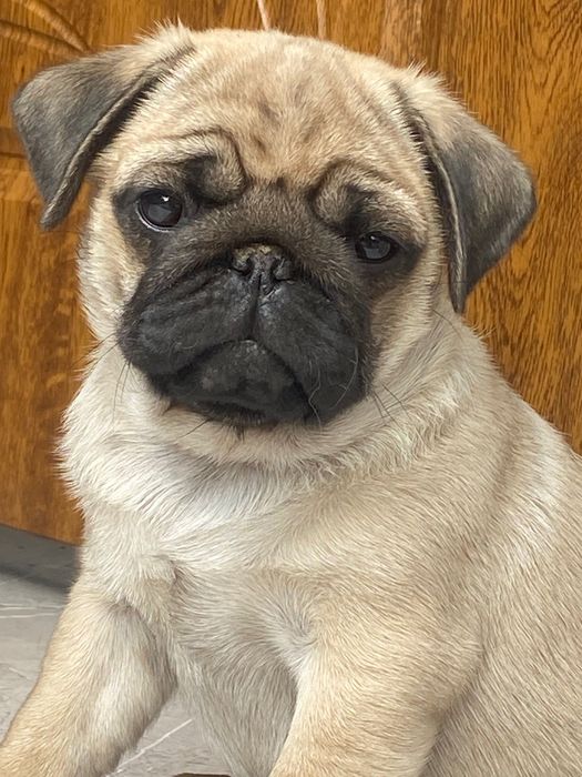 Хлопчик для найкращої родини