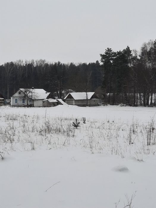 Продам будинок у прекрасній місцевості