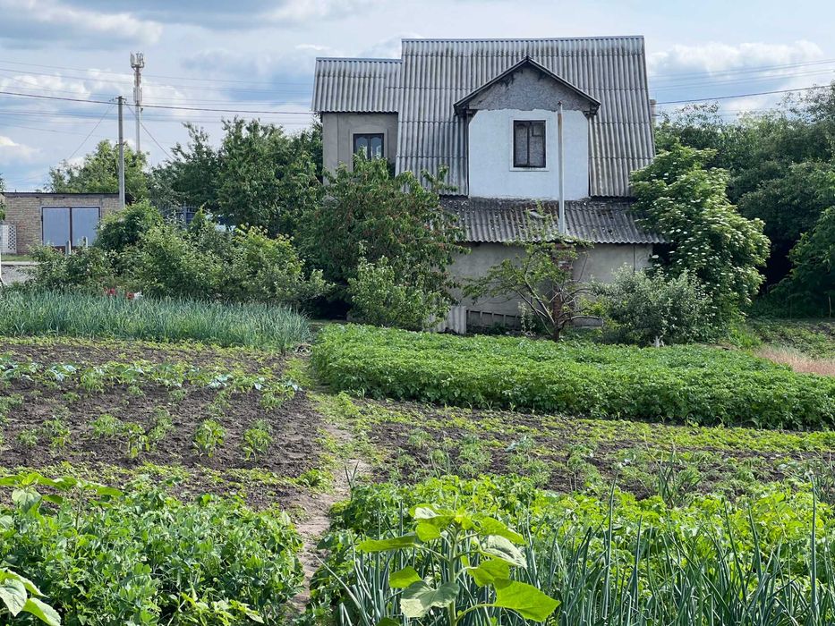 Продається будинок в м. Сквира.