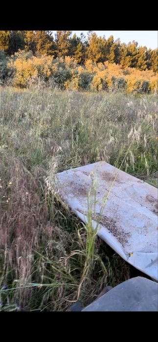 Vendo fardos de palha de feno nascidisso e de azevem campanha 2025