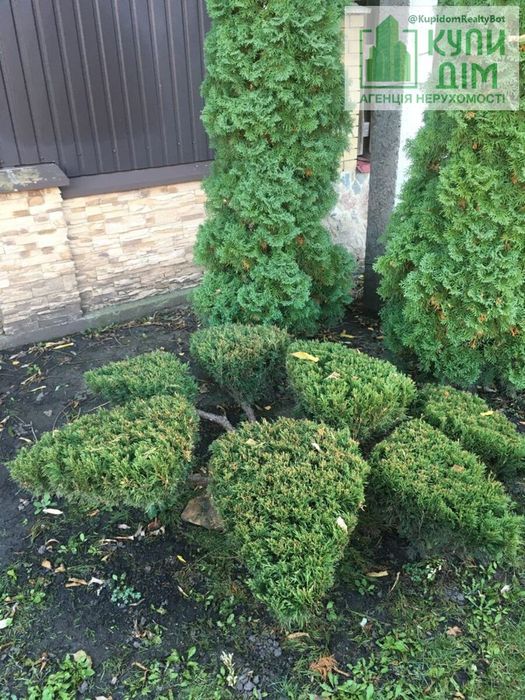 Продам садибу в тихому та затишному місці м.Знам'янка.