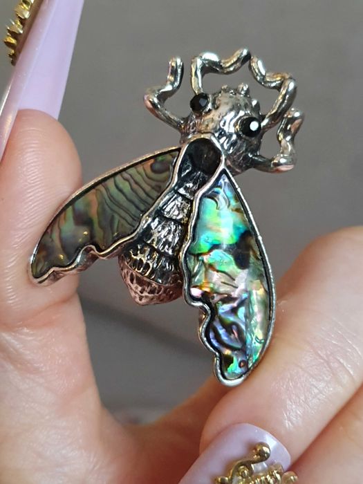 Broche / pregadeira / alfinete ou pendente borboleta traça, com concha