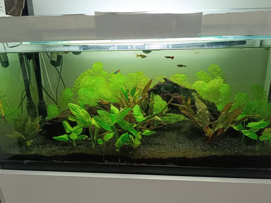 Calha de Luz para aquário 60cm