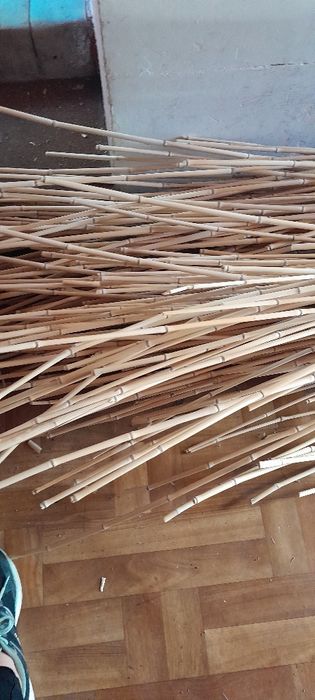 Bambus tyczki duża ilość