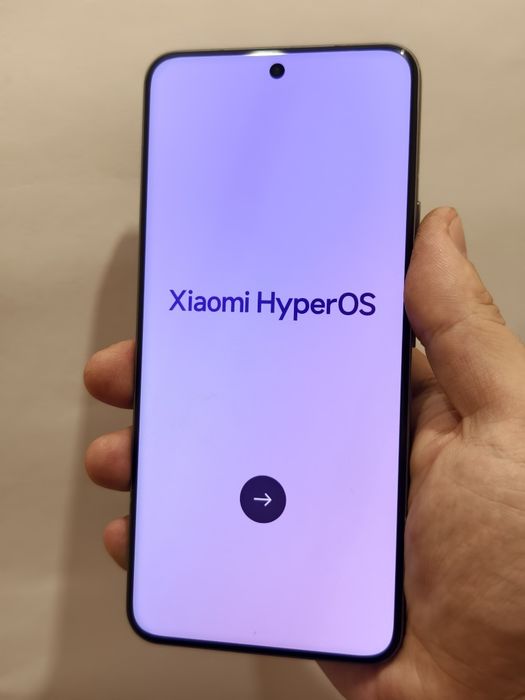 Xiaomi Mi 15 Pro CN,12/256