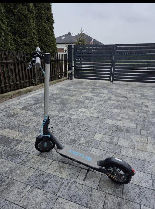 Hulajnoga motus scooty 8.5