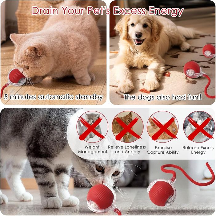 Bola  interativa para gatos e Cães modelagem automática ,360° rotating