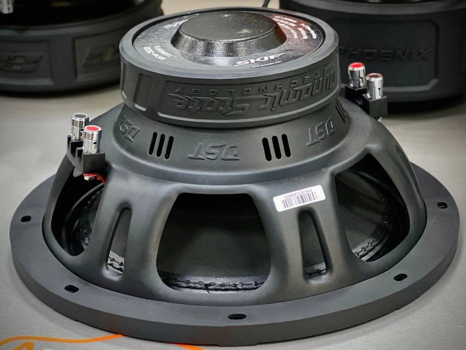 Subwoofer Dynamic State SKIF SKW-302