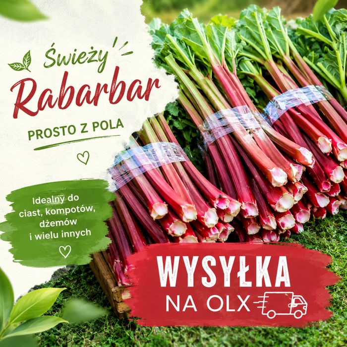 Rabarbar Malinowy Prosto z Pola 10 kg