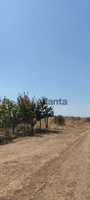 Участок в новом районе с. Александровка