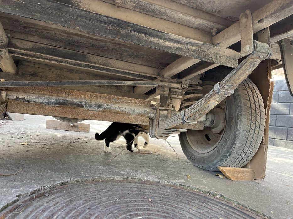 Причіп легковий усиленний .