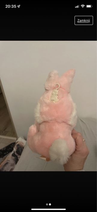 Zajeczek rozowy 10zl