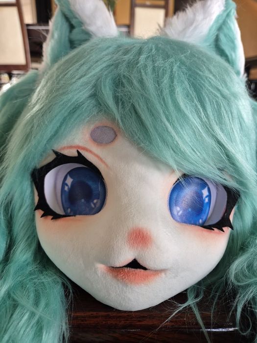 Fursuit Furry Head