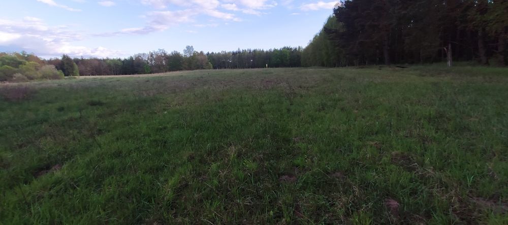 Działka 3001 m² z możliwością zabudowy w Piławie. - View 3