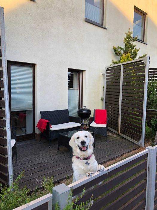 Apartament w Sarbinowie - wolne terminy