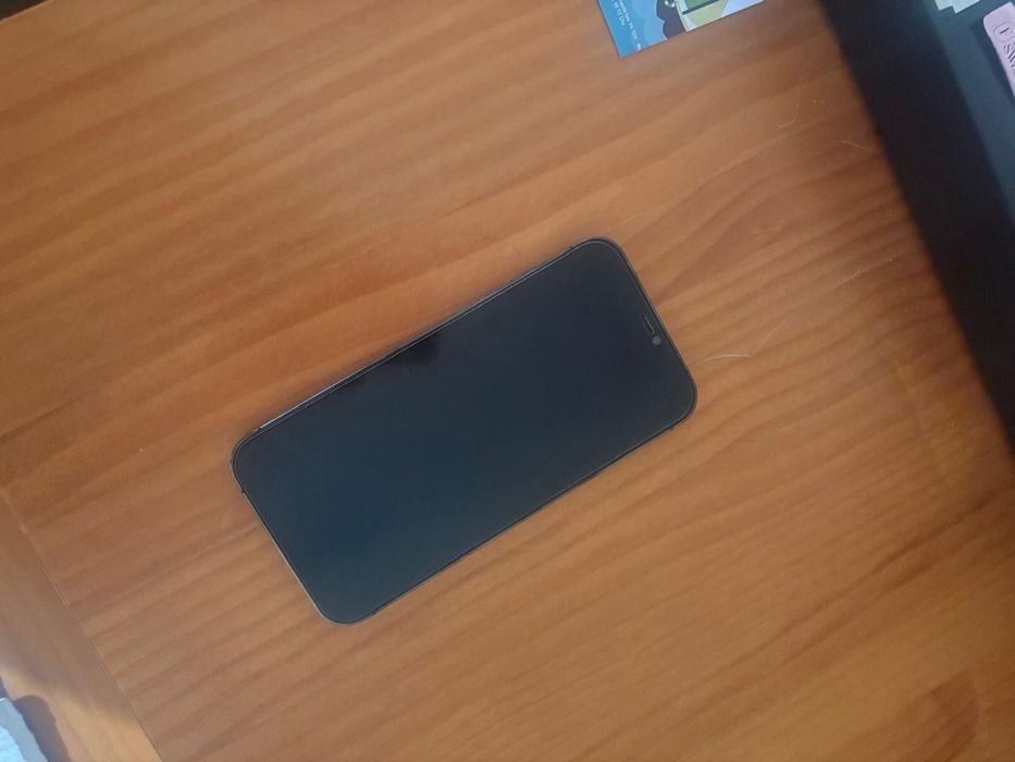 iPhone 12 Pro Max 256 GB Grafite