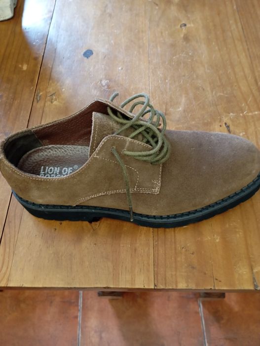 Sapatos novos Lion of Porches