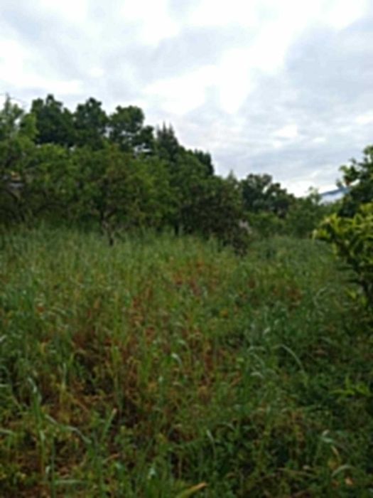 Remodelaçoes e Acabamentos/Limpeza de terrenos/jardinagem