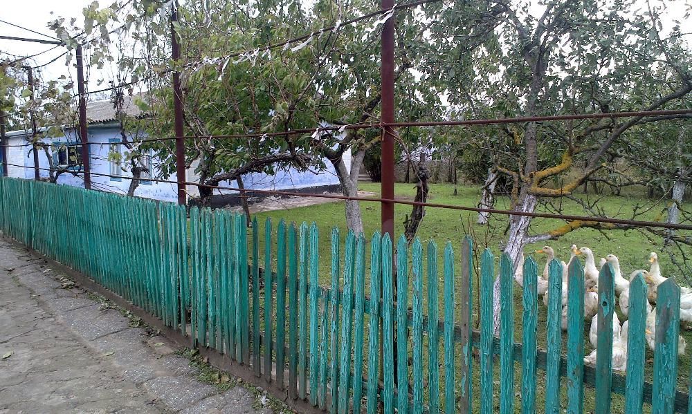 Продам участок 50 соток в селе Санжейка. СРОЧНО!!