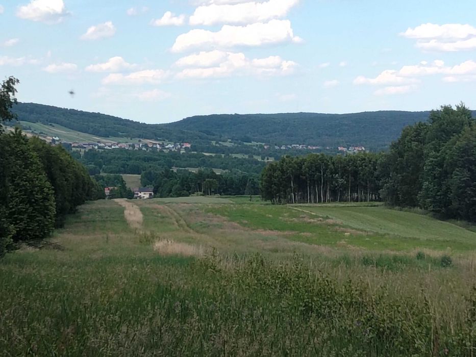 działka rolno  budowlana - Widok 2