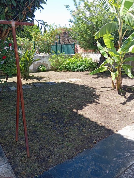 Serviço de jardinagem