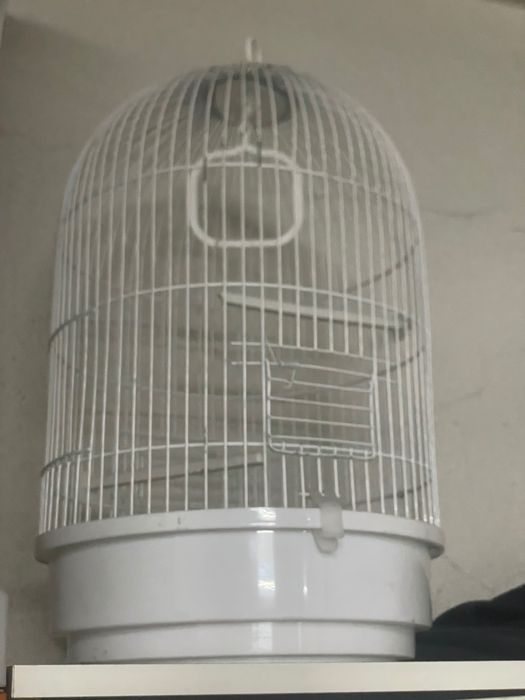 Gaiola pássaro  ou outro animal