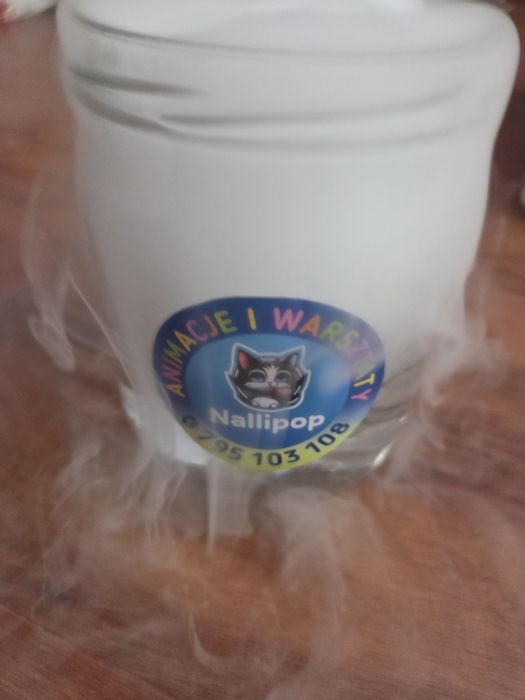 Animacje dla dzieci – ferie, bale karnawałowe, warsztaty