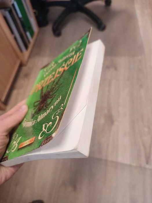 książka Przejście tajemnica Almarynu, Dorota Mularczyk
