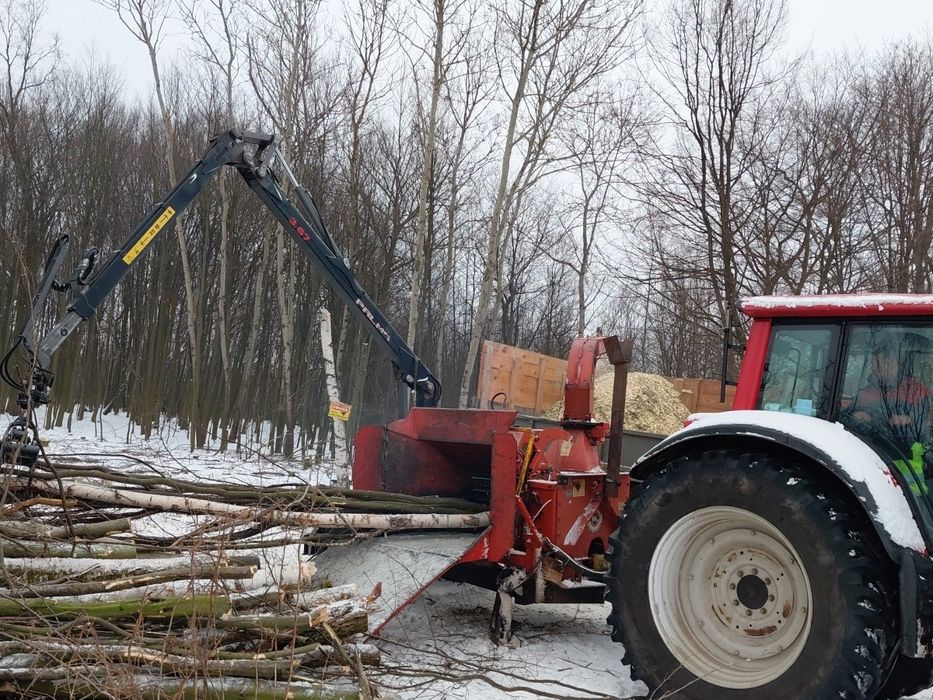 Usługa mulczerem wgłębnym, harwesterem forwarderem las samosiejki