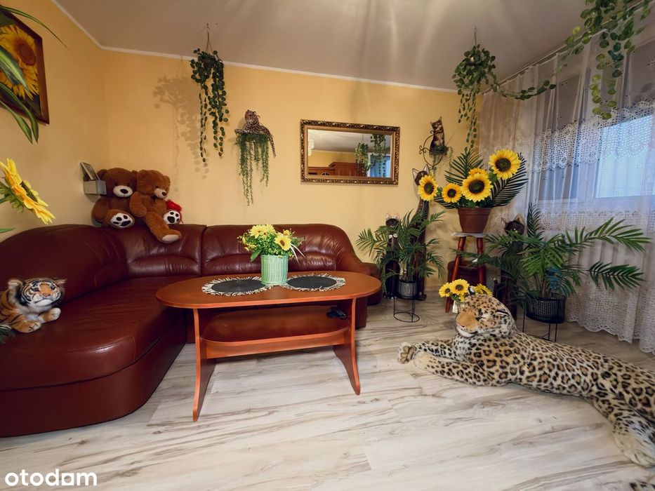 3 pokojowe mieszkanie z balkonem | 48 m² | 4 piętro | Trzemeszno