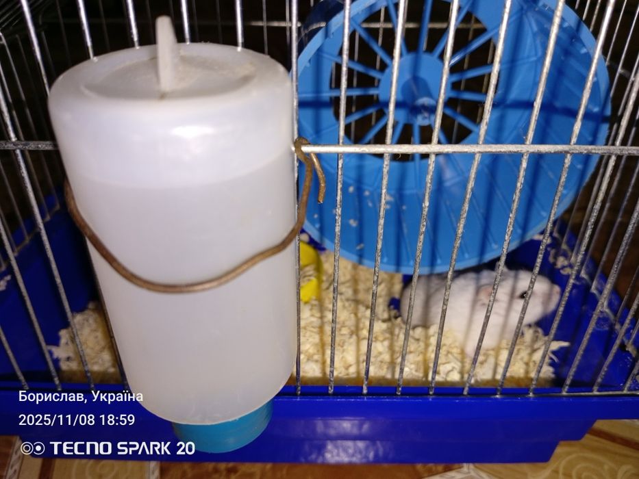 Продам клітку разом з хомяком