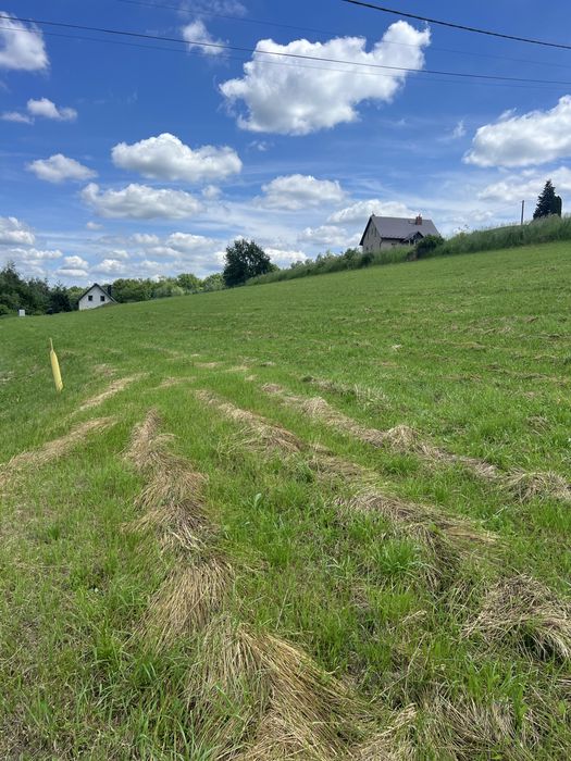 Sprzedam Działka Wola Nieszkowska 61 ar - View 4