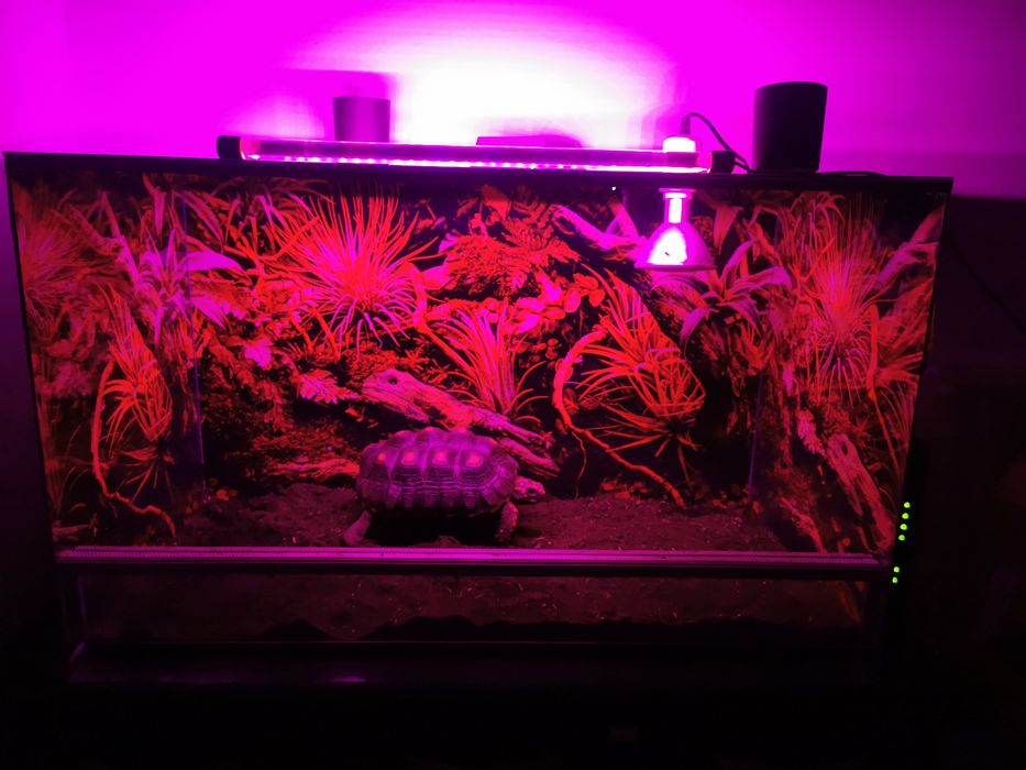 Lampa tuba oświetlenie LED terrarium, akwarium, rozsady warzyw