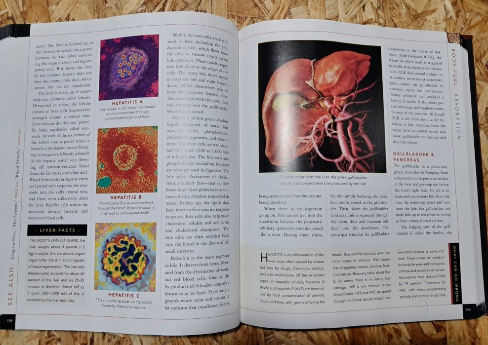 Body: The Complete Human