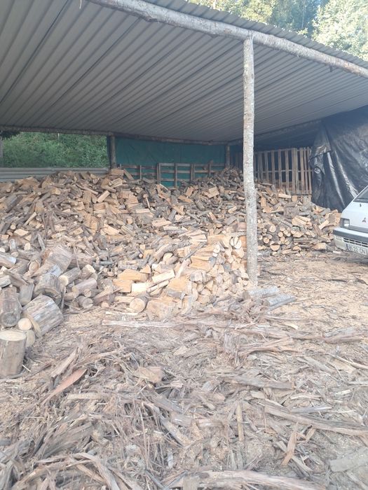 Todos os tipos de lenhas