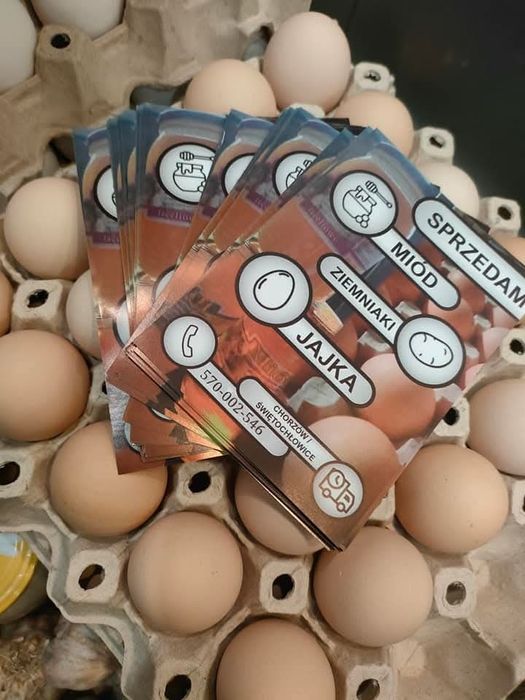 Ziemniaki vineta 15 kg