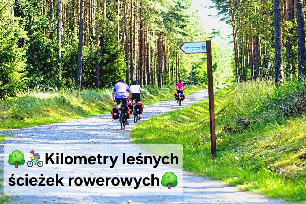 Pokój 1-2 osobowy Szczecin- czysty, wygodny