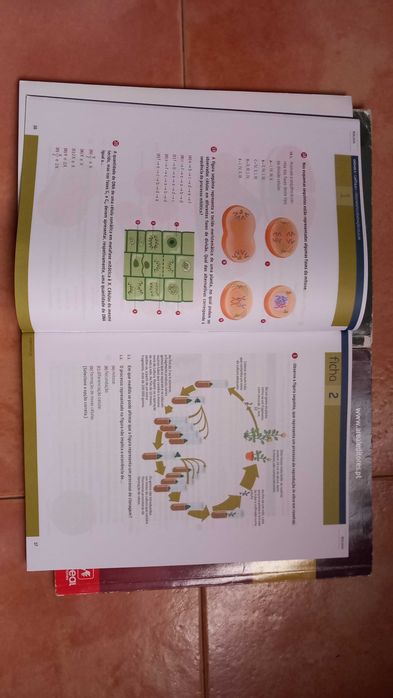 Manuais de biologia e geologia 11° ano
